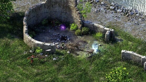 Pillars of Eternity: Definitive Edition — screenshot 6