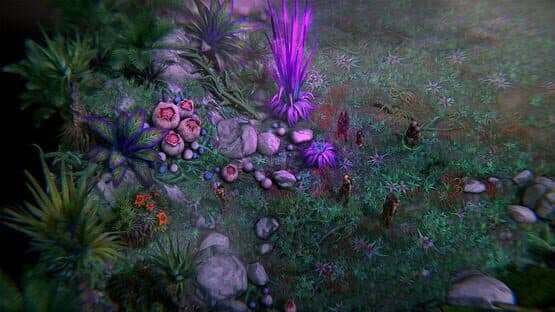 Pathfinder: Kingmaker - The Wildcards — screenshot 2