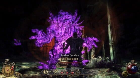 Two Worlds II: Echoes of the Dark Past — screenshot 1