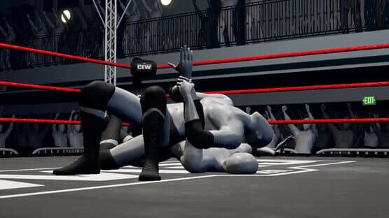 Mark Out! The Wrestling Card Game — screenshot 1
