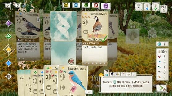Wingspan: Special Edition — screenshot 2
