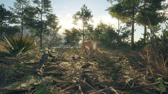 TheHunter: Call of the Wild - Rancho del Arroyo — screenshot 2