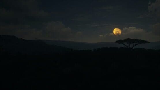TheHunter: Call of the Wild - Vurhonga Savanna — screenshot 4