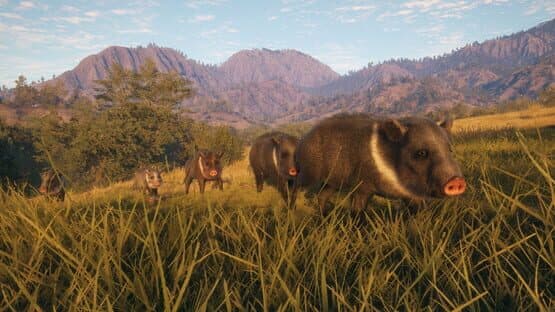TheHunter: Call of the Wild - Rancho del Arroyo — screenshot 5