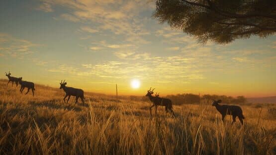 TheHunter: Call of the Wild - Vurhonga Savanna — screenshot 7