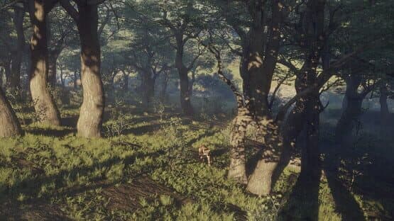TheHunter: Call of the Wild - Parque Fernando — screenshot 6