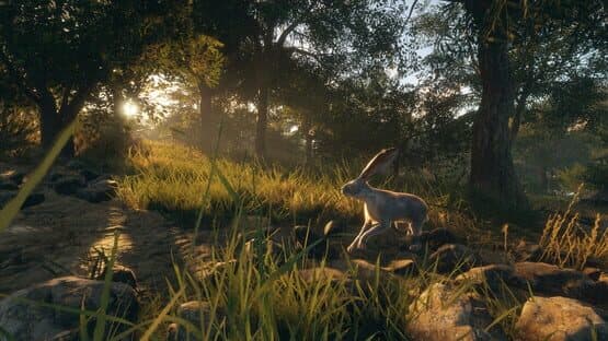 TheHunter: Call of the Wild - Rancho del Arroyo — screenshot 8