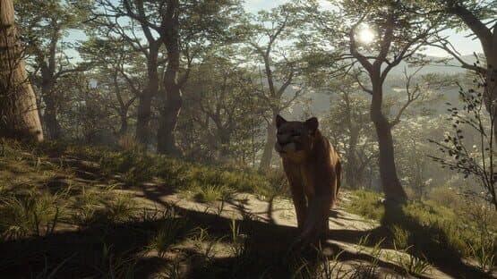 TheHunter: Call of the Wild - Parque Fernando — screenshot 7