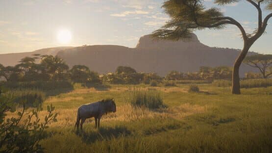 TheHunter: Call of the Wild - Vurhonga Savanna — screenshot 8