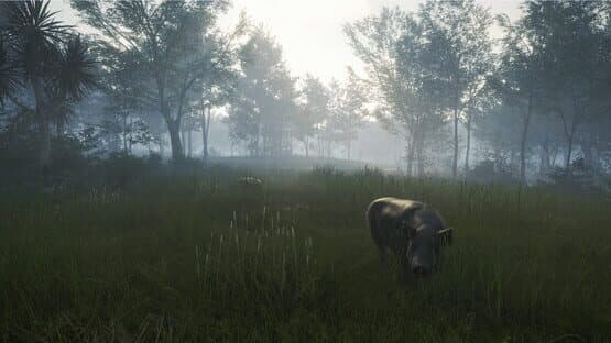 TheHunter: Call of the Wild - Te Awaroa National Park — screenshot 3