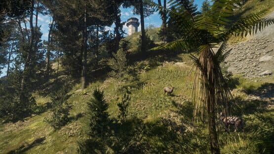 TheHunter: Call of the Wild - Te Awaroa National Park — screenshot 4