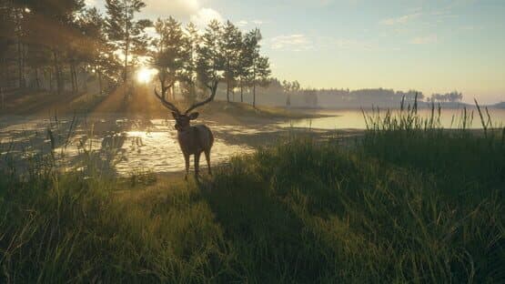 TheHunter: Call of the Wild - Te Awaroa National Park — screenshot 6