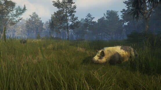 TheHunter: Call of the Wild - Te Awaroa National Park — screenshot 7