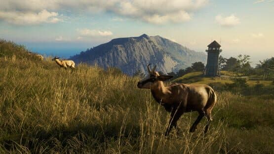 TheHunter: Call of the Wild - Te Awaroa National Park — screenshot 8