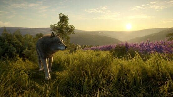 TheHunter: Call of the Wild - Cuatro Colinas Game Reserve — screenshot 2