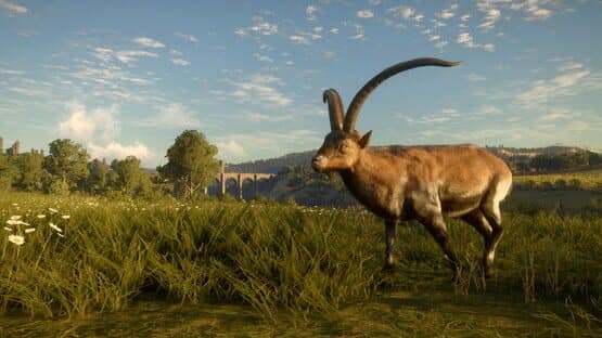 TheHunter: Call of the Wild - Cuatro Colinas Game Reserve — screenshot 3