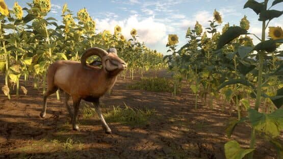 TheHunter: Call of the Wild - Cuatro Colinas Game Reserve — screenshot 4