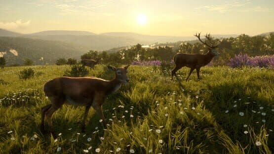 TheHunter: Call of the Wild - Cuatro Colinas Game Reserve — screenshot 6