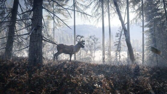 TheHunter: Call of the Wild - Medved-Taiga — screenshot 1