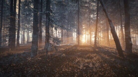 TheHunter: Call of the Wild - Medved-Taiga — screenshot 3