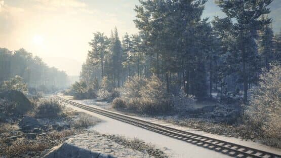 TheHunter: Call of the Wild - Medved-Taiga — screenshot 4