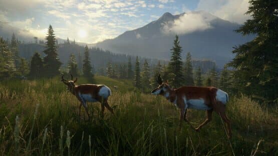 TheHunter: Call of the Wild - Silver Ridge Peaks — screenshot 1