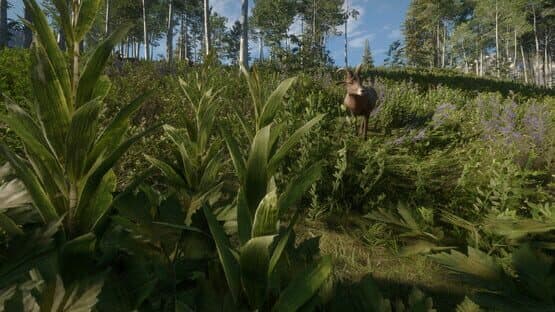 TheHunter: Call of the Wild - Silver Ridge Peaks — screenshot 8