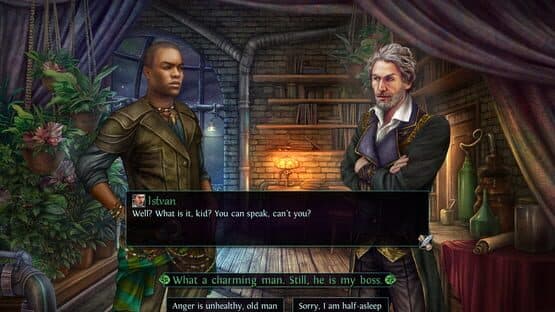 Solstice: Digital Collector's Edition — screenshot 7