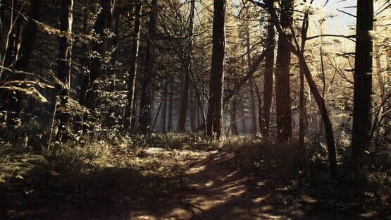 Blair Witch: Deluxe Edition — screenshot 1