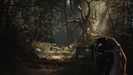 Blair Witch: Deluxe Edition — screenshot 4