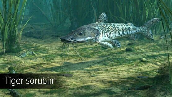 Ultimate Fishing Simulator: Amazon River — screenshot 7