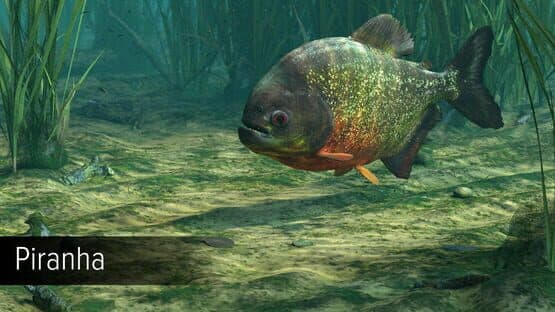 Ultimate Fishing Simulator: Amazon River — screenshot 8