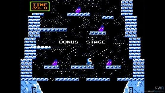 Arcade Archives: Ice Climber — screenshot 1
