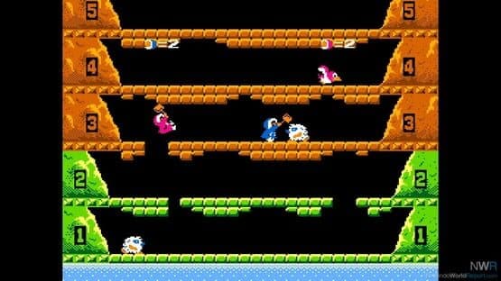 Arcade Archives: Ice Climber — screenshot 2