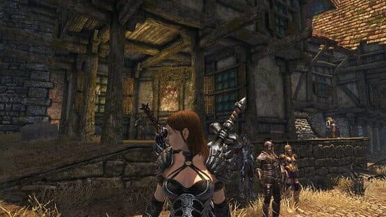 Divinity II: Developer's Cut — screenshot 6