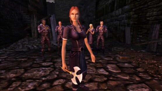 Dungeons & Dragons Online: Shadowfell Conspiracy - Collector's Edition — screenshot 3