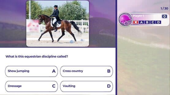 Equestrian Training — screenshot 1