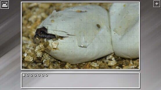Super Jigsaw Puzzle: Generations - Snakes Puzzles — screenshot 3