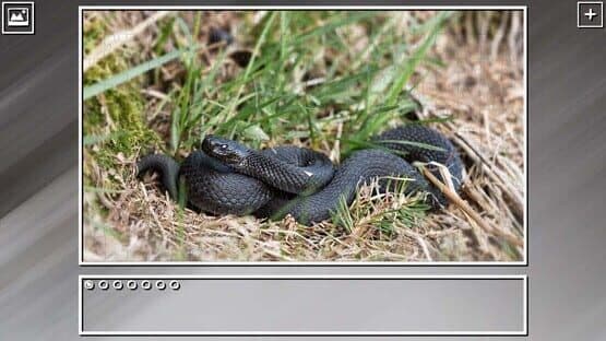 Super Jigsaw Puzzle: Generations - Snakes Puzzles — screenshot 6