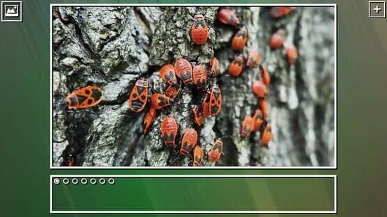 Super Jigsaw Puzzle: Generations - Bugs Puzzles — screenshot 7