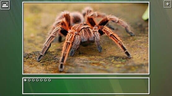 Super Jigsaw Puzzle: Generations - Bugs Puzzles — screenshot 8
