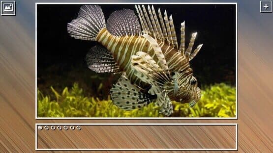 Super Jigsaw Puzzle: Generations - Sealife Puzzles — screenshot 5
