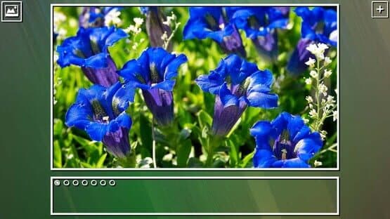 Super Jigsaw Puzzle: Generations - Flowers Puzzles — screenshot 7