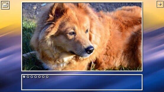 Super Jigsaw Puzzle: Generations - Dogs Puzzles — screenshot 3