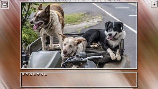 Super Jigsaw Puzzle: Generations - Dogs Puzzles — screenshot 4