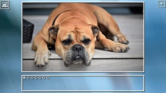 Super Jigsaw Puzzle: Generations - Dogs Puzzles — screenshot 7