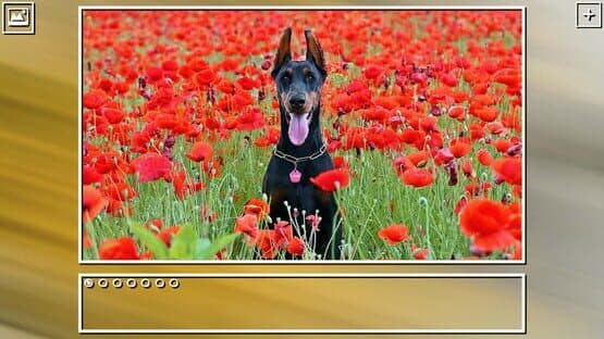Super Jigsaw Puzzle: Generations - Dogs Puzzles — screenshot 8