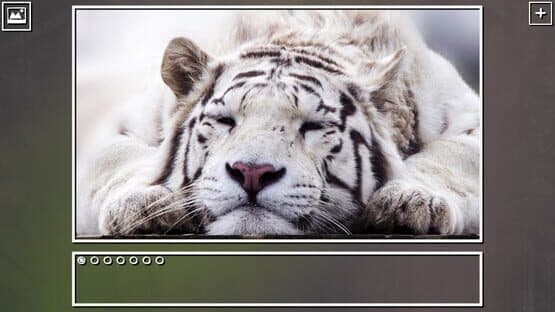 Super Jigsaw Puzzle: Generations - Big Cats Puzzles — screenshot 5
