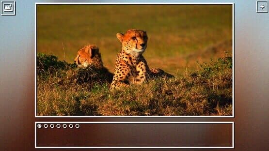 Super Jigsaw Puzzle: Generations - Big Cats Puzzles — screenshot 7