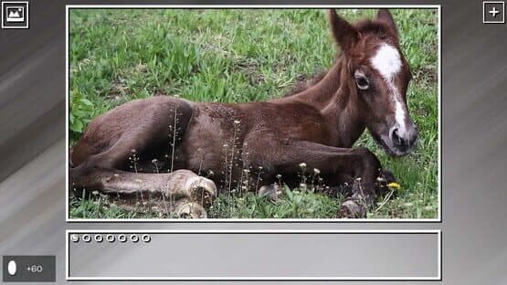 Super Jigsaw Puzzle: Generations - Horses Puzzles — screenshot 1